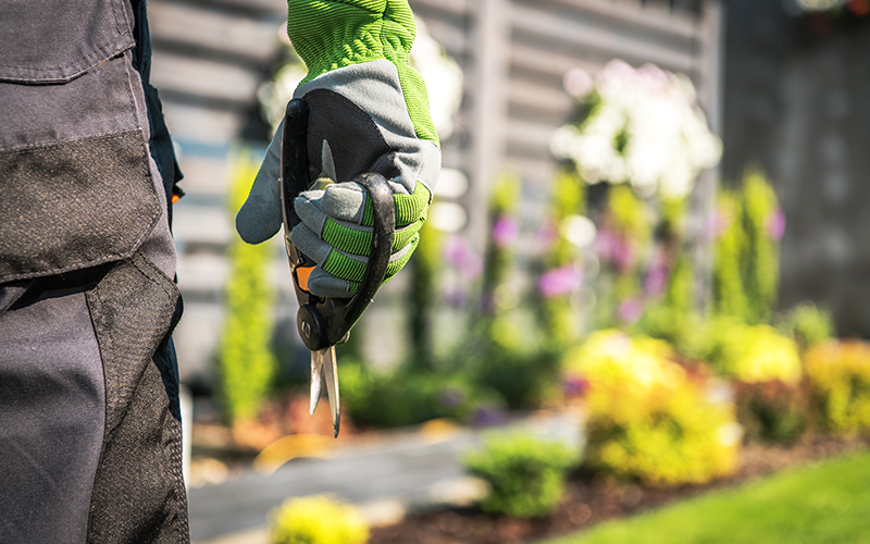 mejor empresa de jardineria en madrid